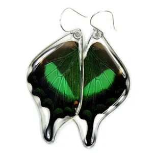 Petal Connection - Butterfly Earrings | Emerald Swallowtail (Bottom Wing) #0510-B-ER