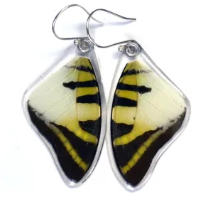 Petal Connection - Butterfly Earrings | Five Bar Swallowtail (Top Wing) #0465-T-ER