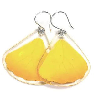 Petal Connection - Butterfly Earrings | Orange-Barred Sulphur (Bottom Wing) #0070-B-ER