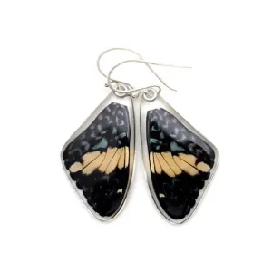 Petal Connection - Butterfly Earrings | Red Cracker Butterfly (Top Wing) #0580-T-ER