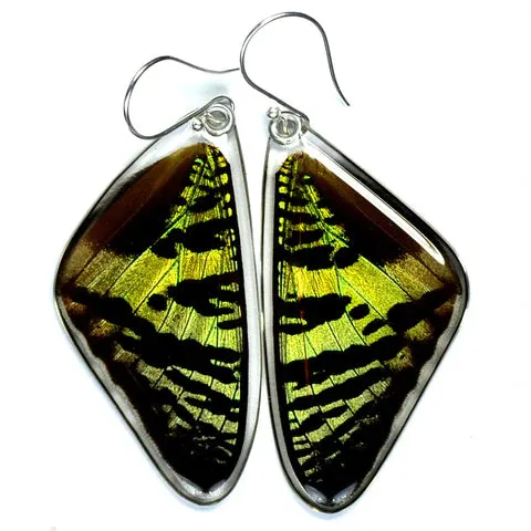 Petal Connection - Butterfly Earrings | Sunset Moth (Top Wing) #0055-T-ER