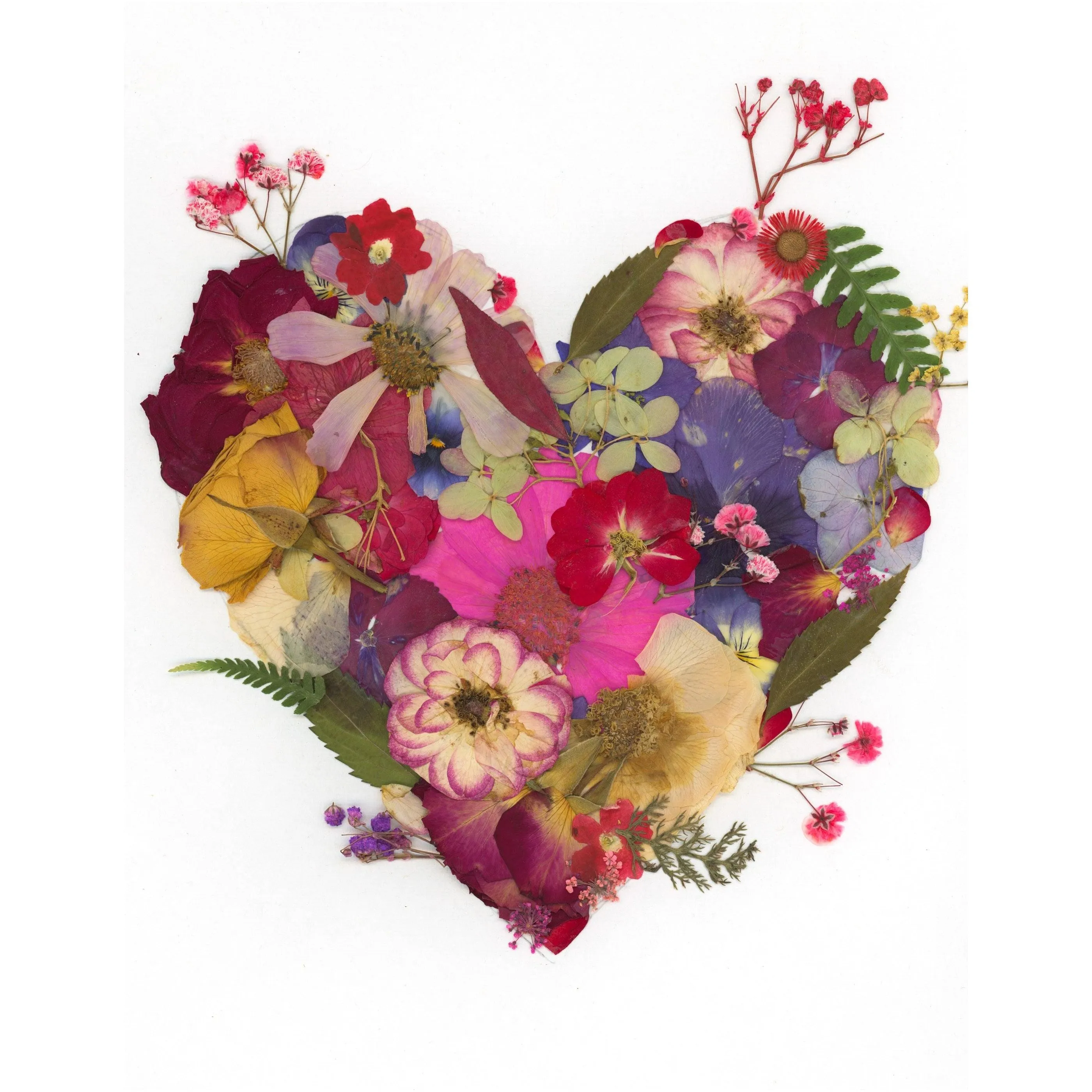 Pressed flower heart blank greeting card