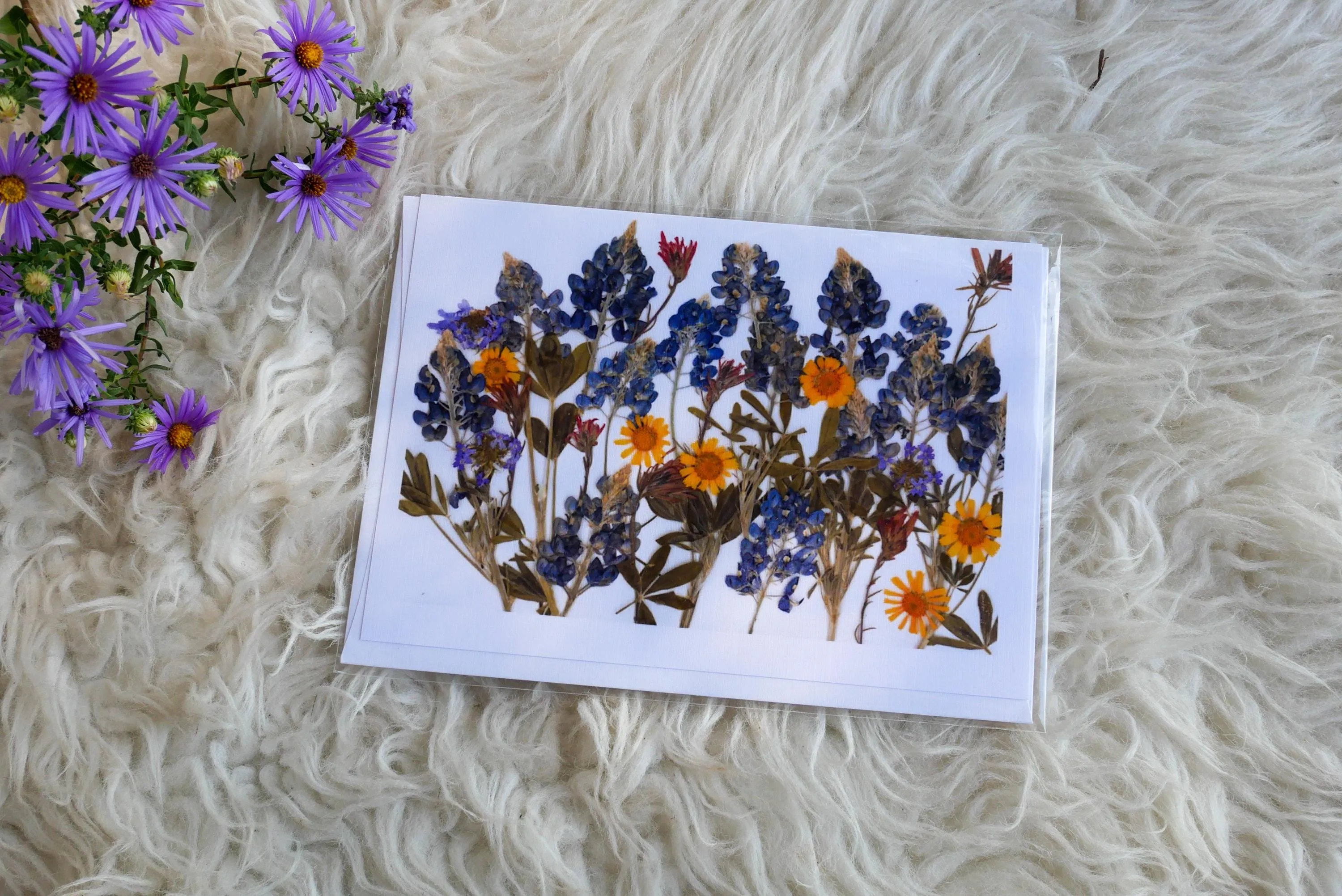 Pressed Texas wildflower greeting cards, bluebonnet art, Texas native flower art, set of cards