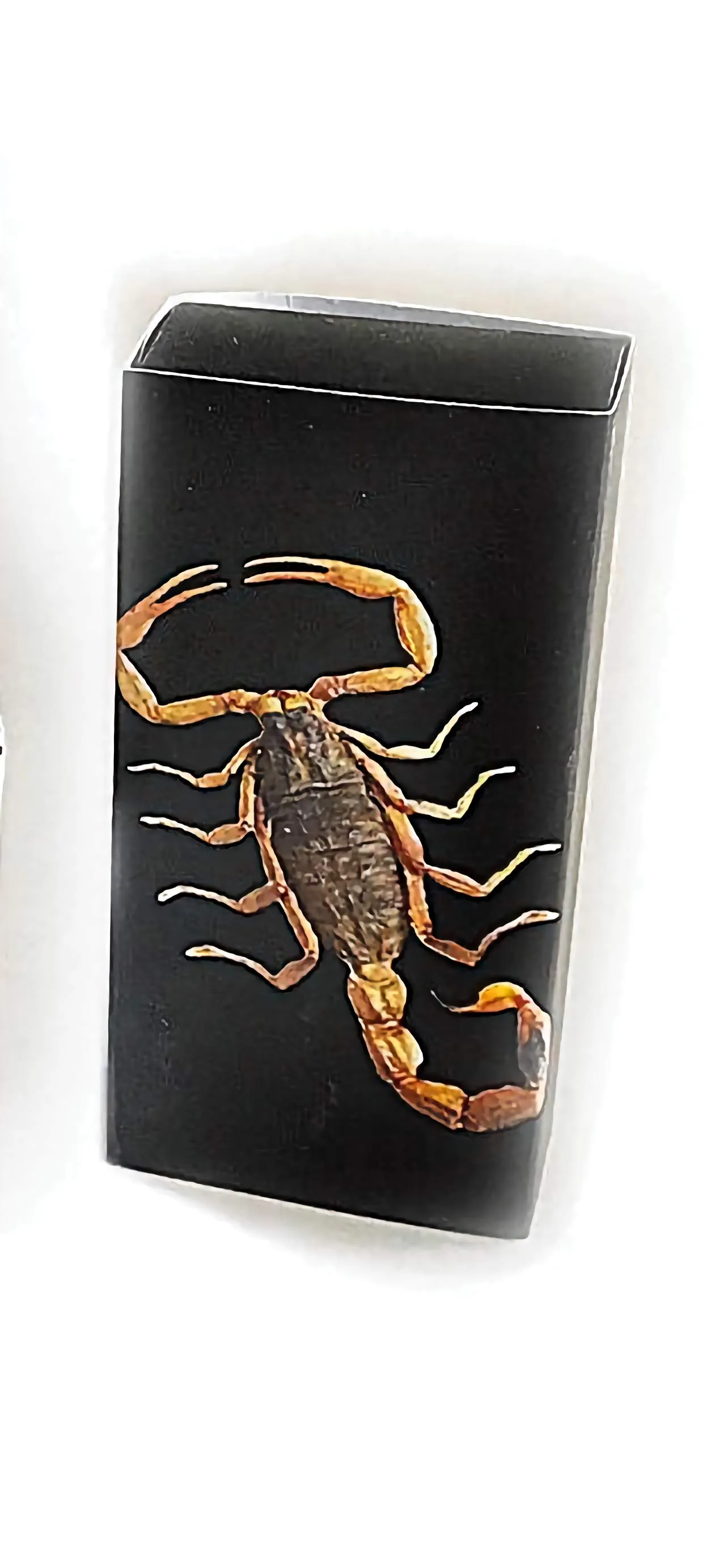 Real Bark Scorpion Necklace Teardrop Shape Blue Real Nature Gift