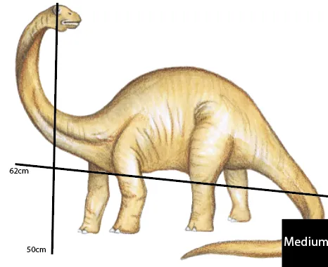 Single Brachiosaurus Australian Design Hand Painted Peel & Stick, Removable Wall Decal. Nursery, Kids Playroom, Kids Teens Bedroom