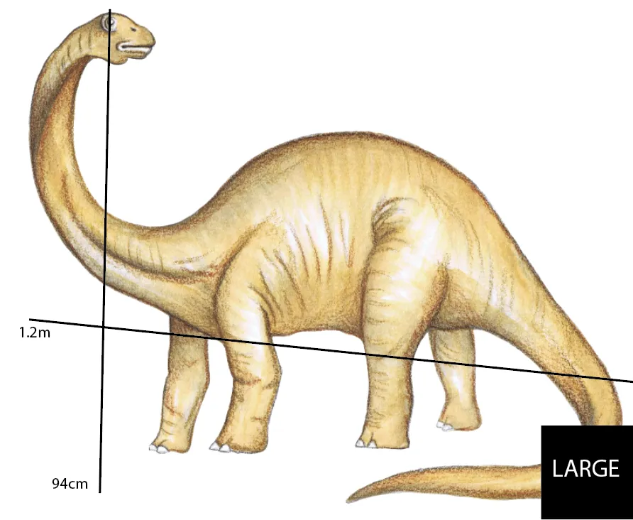 Single Brachiosaurus Australian Design Hand Painted Peel & Stick, Removable Wall Decal. Nursery, Kids Playroom, Kids Teens Bedroom