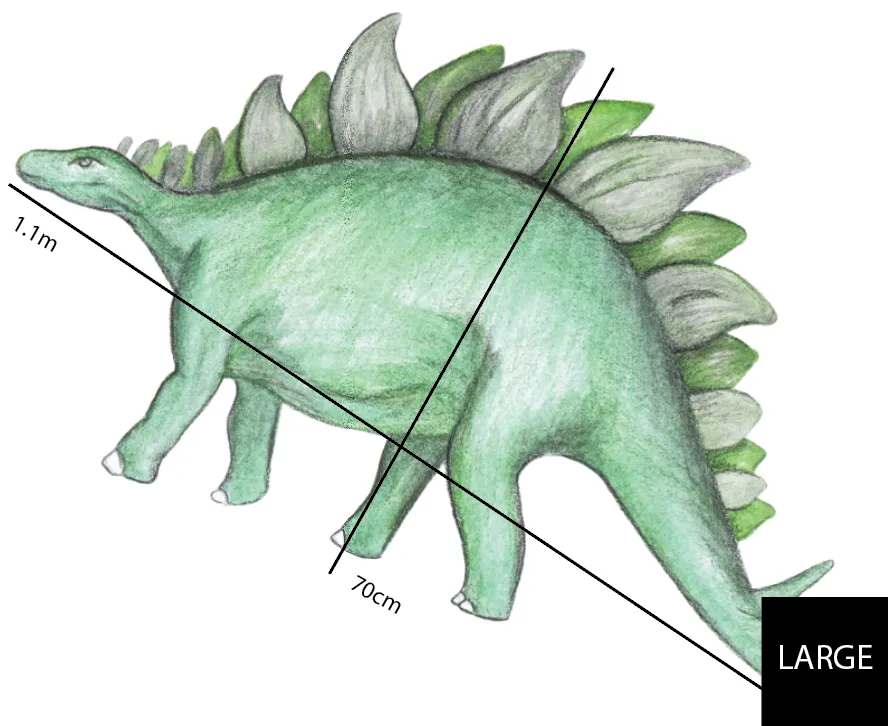 Single Stegosaurus Australian Design Hand Painted Peel & Stick, Removable Wall Decal. Nursery, Kids Playroom, Kids Teens Bedroom