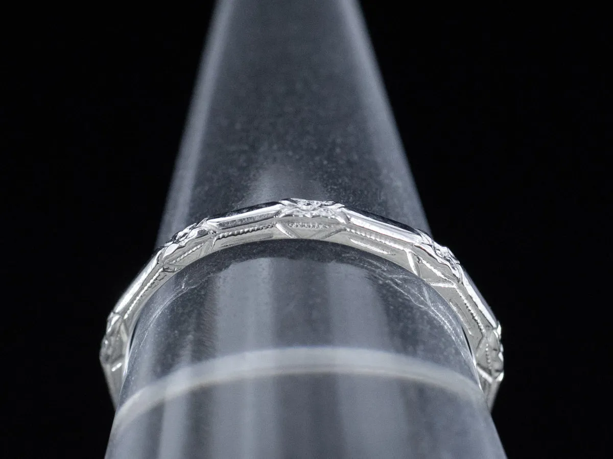 The Amelia Band in Platinum