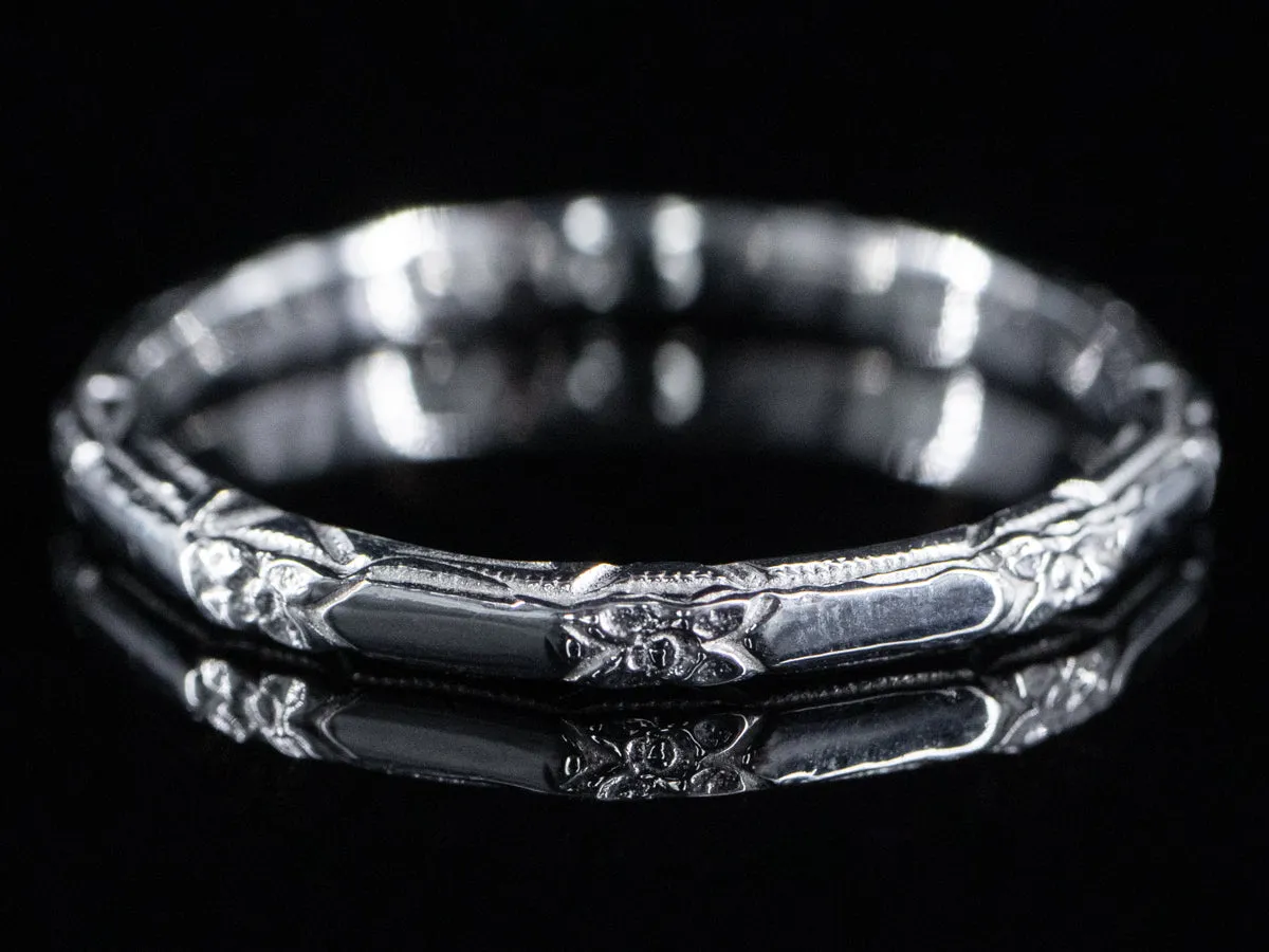 The Amelia Band in Platinum