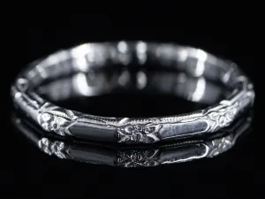 The Amelia Band in Platinum