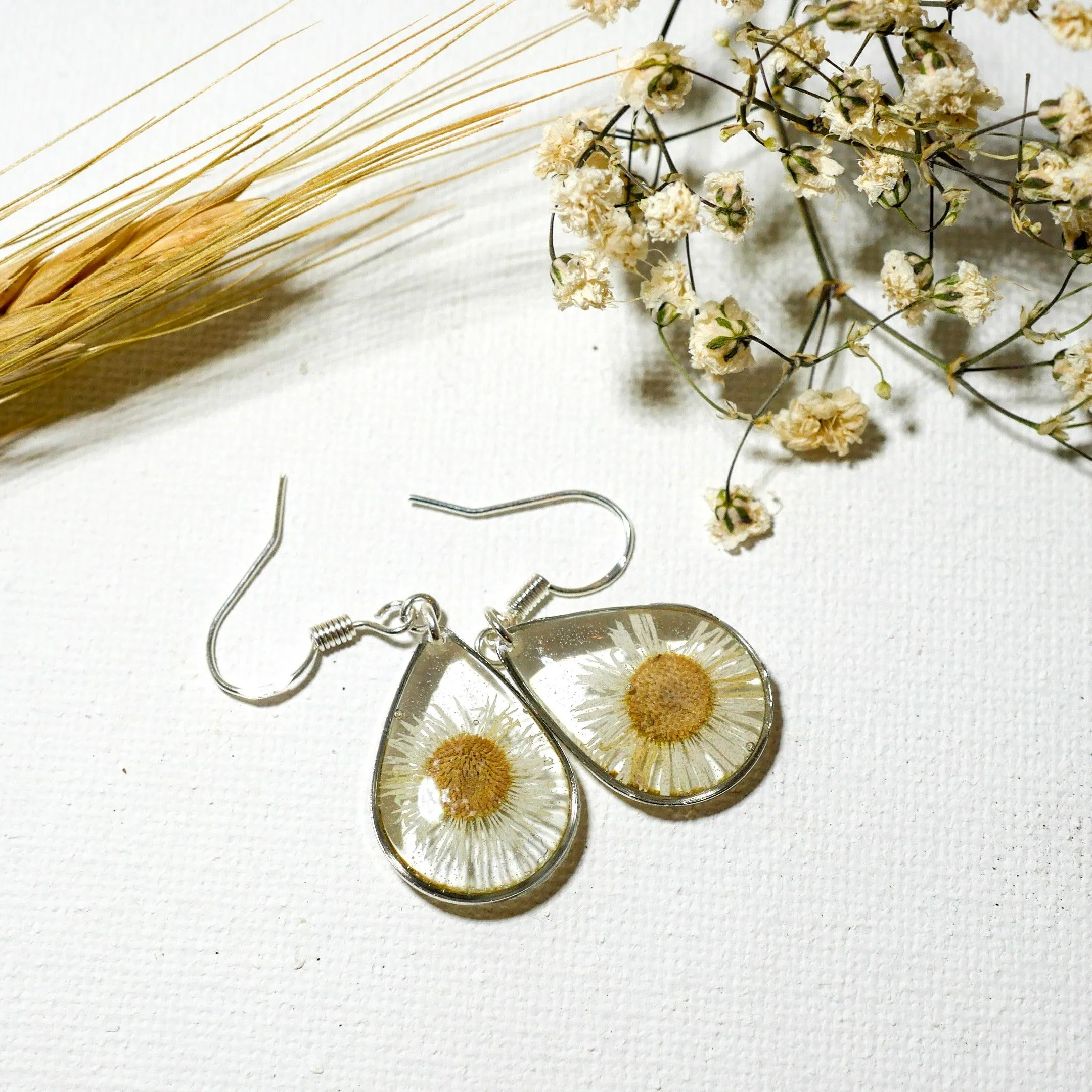 Tiny Real Daisy Teardrop Earrings
