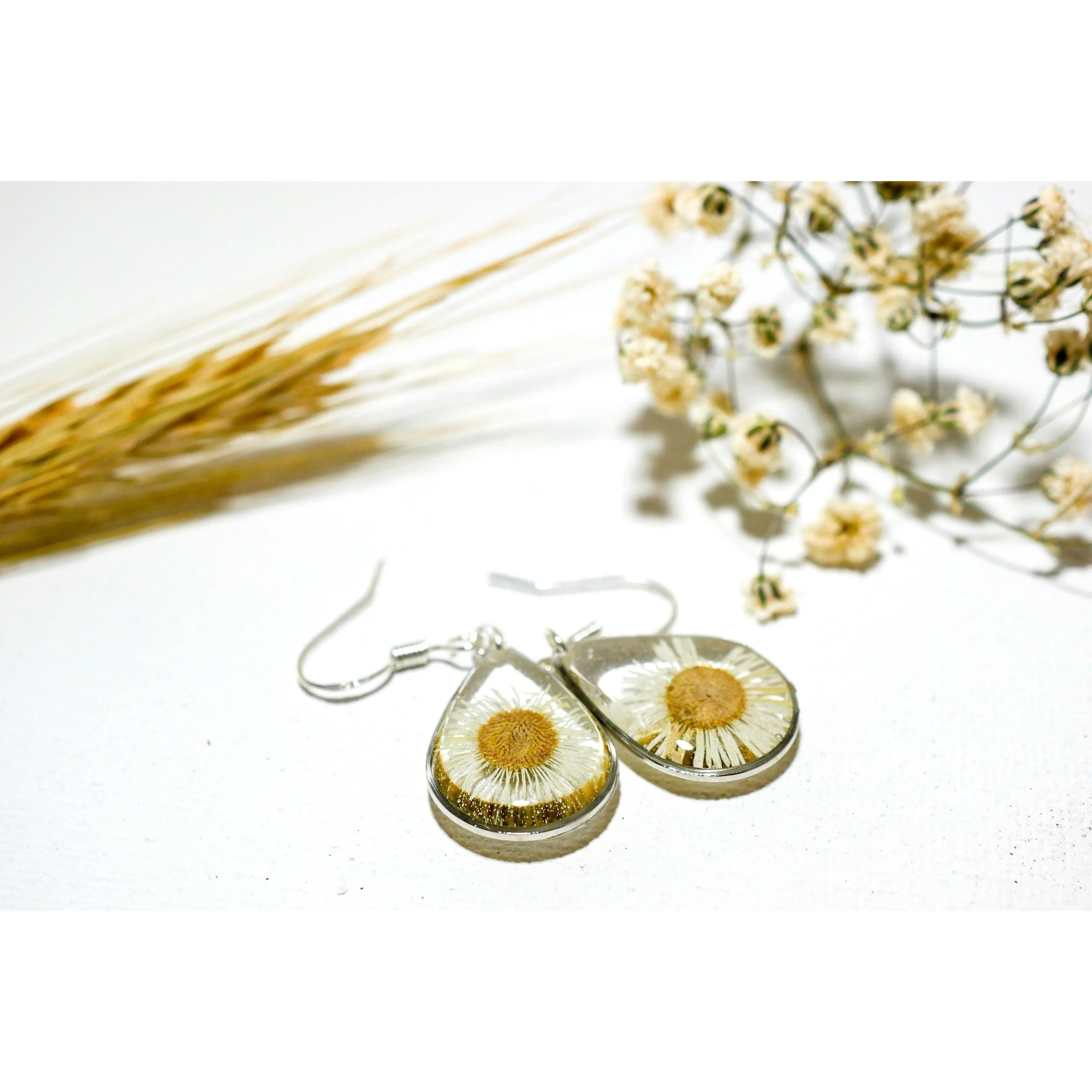 Tiny Real Daisy Teardrop Earrings