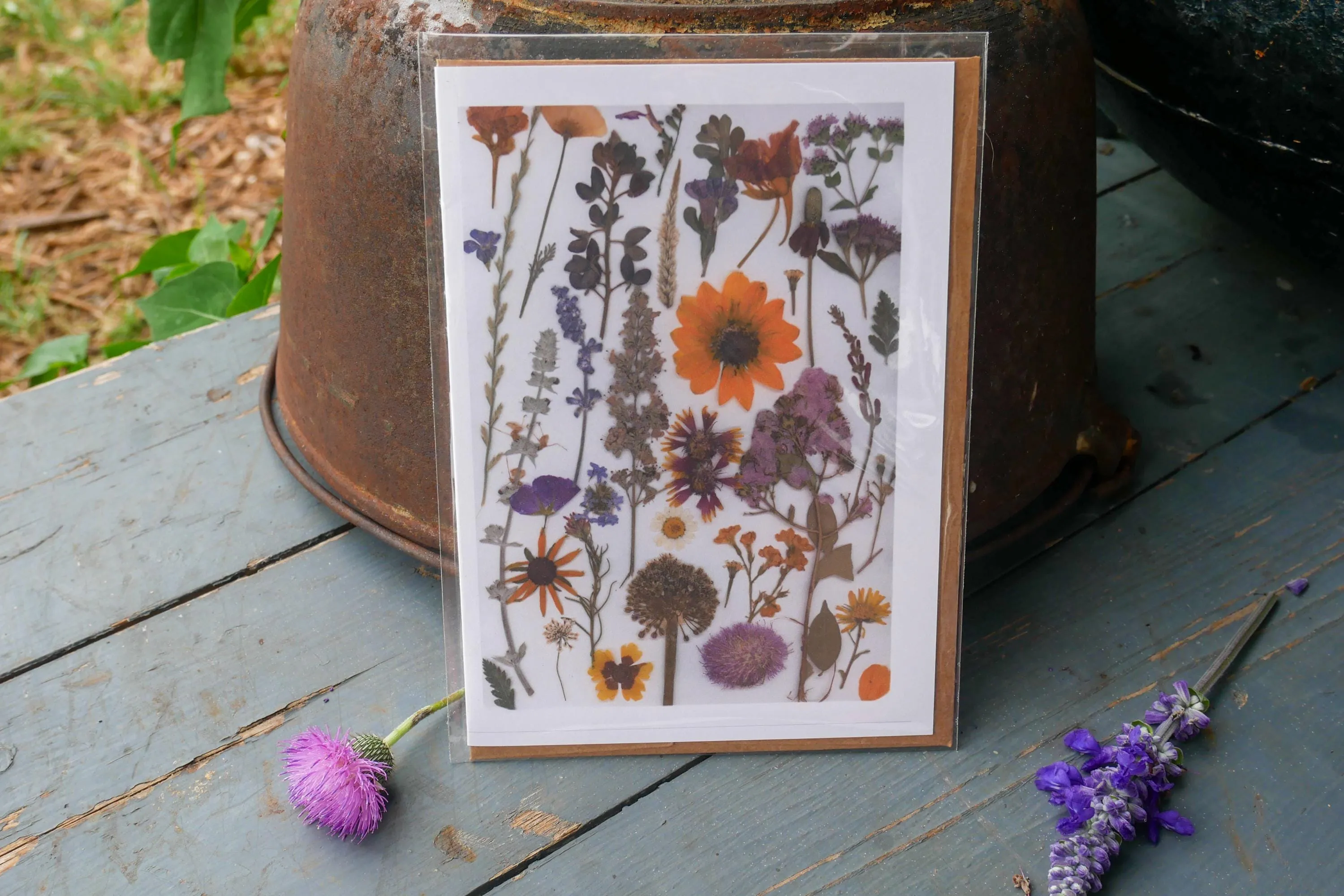 Title: Pressed Texas wildflower Greeting Card –PRINT, Blank Inside, Flowers Grown on Our Texas Farm