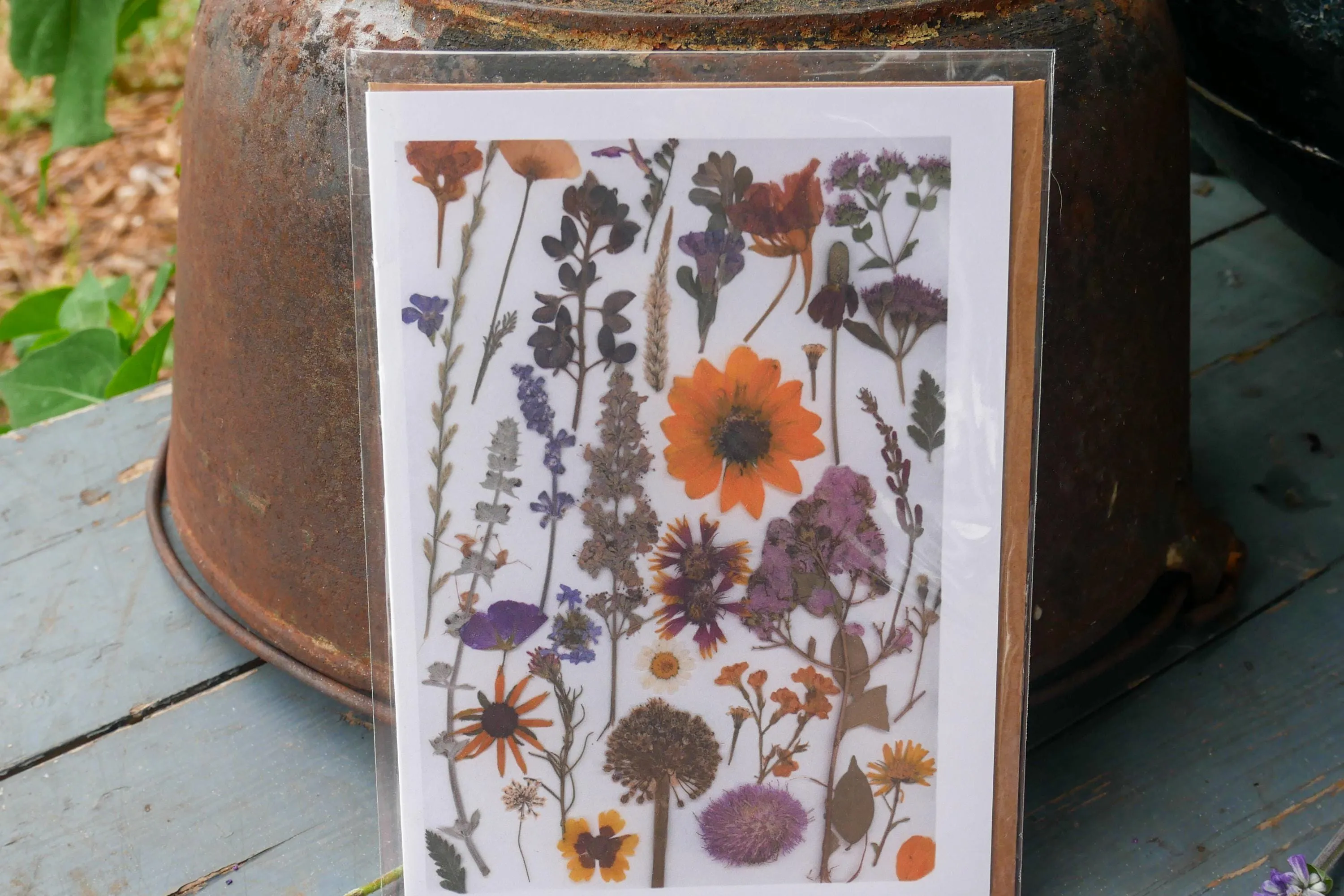 Title: Pressed Texas wildflower Greeting Card –PRINT, Blank Inside, Flowers Grown on Our Texas Farm