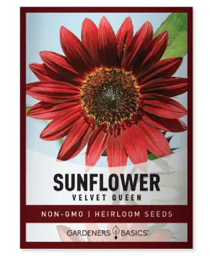 Velvet Queen Sunflower Seeds