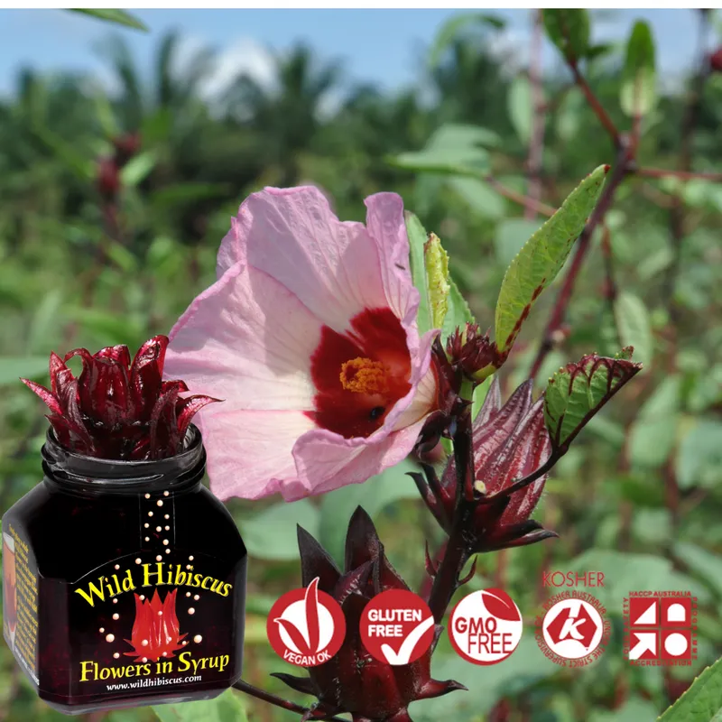 Wild Hibiscus Flowers in Syrup