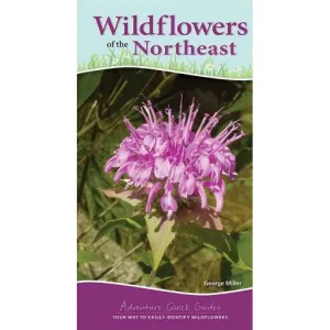 Wildflowers of the Northeast